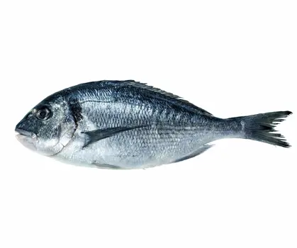 shutterstock_272964287-scaled